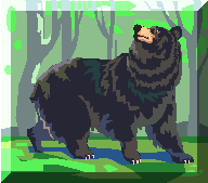Arcturus Retreat B&B - Black Bear Room